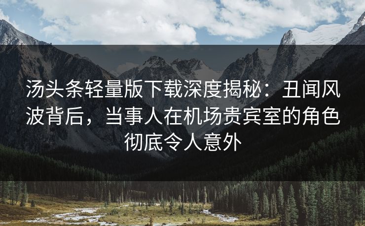 汤头条轻量版下载深度揭秘：丑闻风波背后，当事人在机场贵宾室的角色彻底令人意外