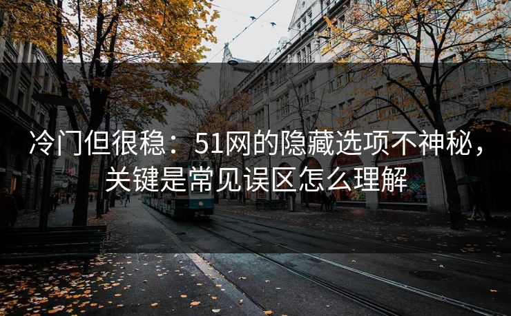 冷门但很稳：51网的隐藏选项不神秘，关键是常见误区怎么理解